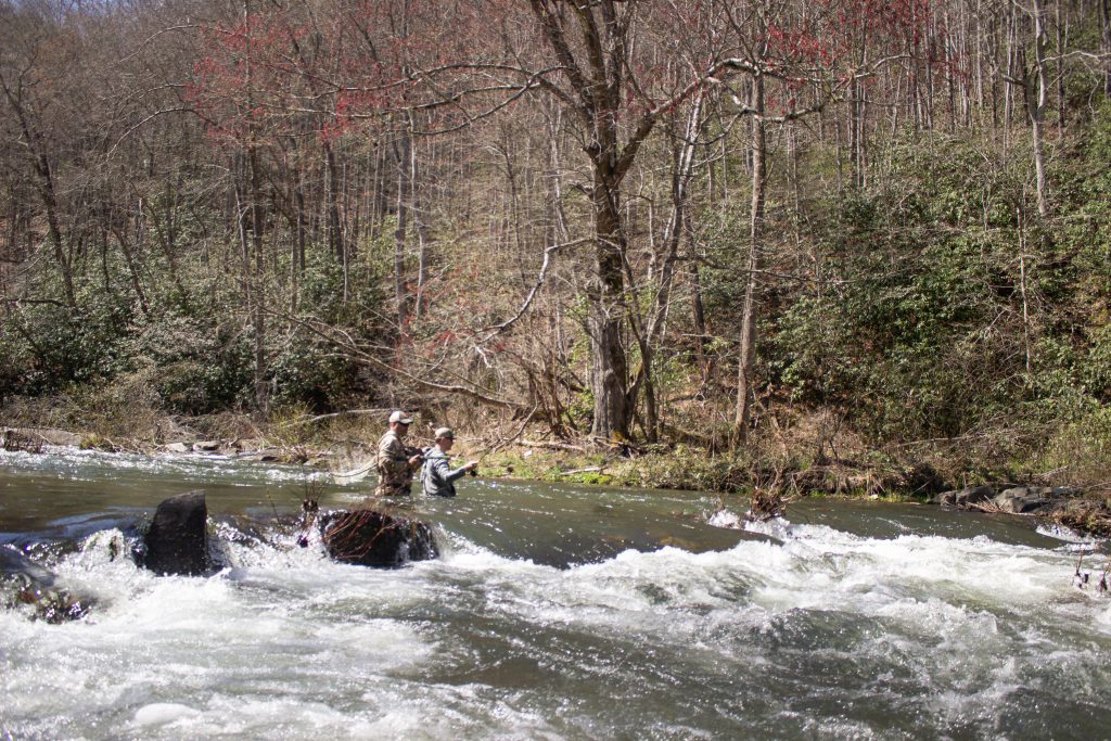 Standing in the current looking for trout. Photo by Matt Smythe/Free Range American.